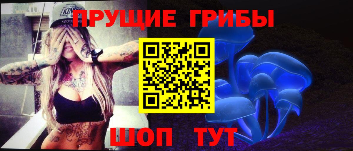 Галлюциногенные грибы Cubensis  Псилоцибиновые грибы MAGIC MUSHROOMS  Вход с VPN  Ленинск-Кузнецкий 